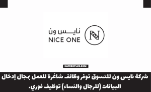 شركة نايس ون للتسوق توفر وظائف مدخل بيانات للجنسين