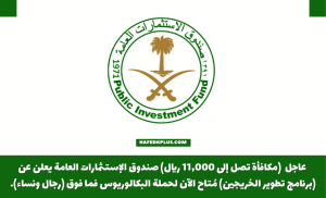 صندوق الاستثمارات العامة يُعلن عن بدء التقديم رجال ونساء على برنامج تطوير الخريجين 2023