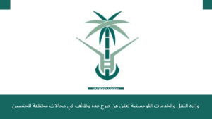 وزارة النقل والخدمات اللوجستية تعلن عن طرح عدة وظائف في مجالات مختلفة للجنسين